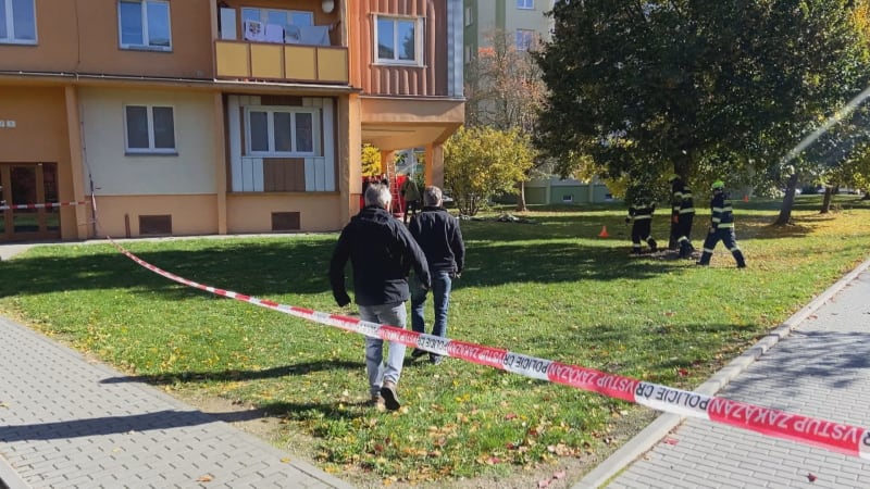 Patnáctiletý chlapec jde kvůli surové vraždě muže v Zábřehu do vazby. Soud shledal tři důvody