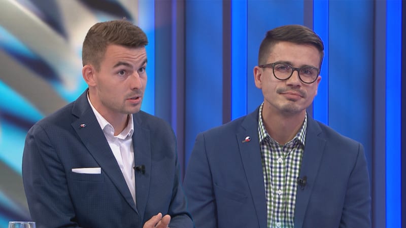 Vondráček: Povolenkami dostaneme pěstí od EU. Podle Talíře už Česko s eurem souhlasilo