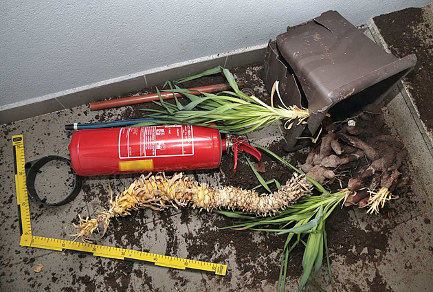 Po vandalovi zůstala spoušť. Co k tomu střízlivého muže vedlo, ptá se policie