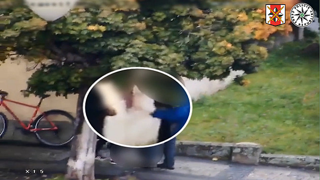 S opatrností si hlavu nelámal. Cizinec prodával drogy na náměstí při venčení psa