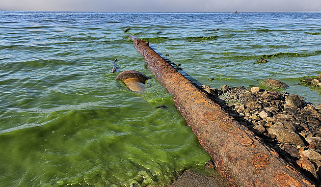 Co všechno teče do Lipna? Vědci prověřují výpusti, které odhalila nízká hladina