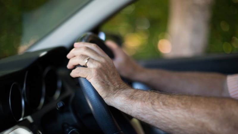 Kuriózní konec pátrání. Důchodce vyrazil k lékaři, našel se v Chorvatsku o 1500 kilometrů dál