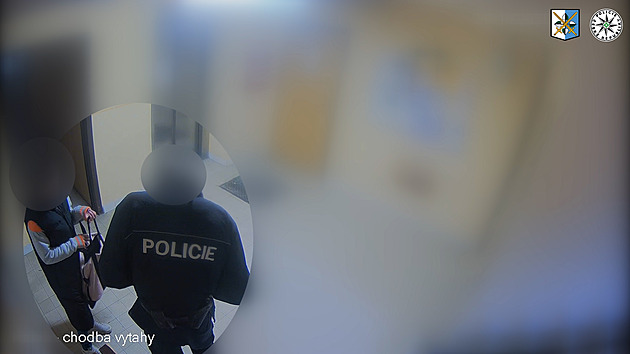 Past na vozíčkářku. Podvodník ji balamutil a okrádal, poslal k ní i falešné policisty