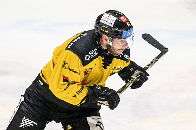 Zmrazená euforie Litvínova, ztráta se nepohnula. Sukeľ: Na ostatní se neohlížíme