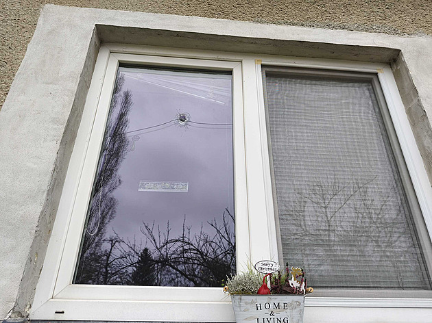 Z vraždy matky obvinili 18letou dívku, podle policie střílela kvůli majetku