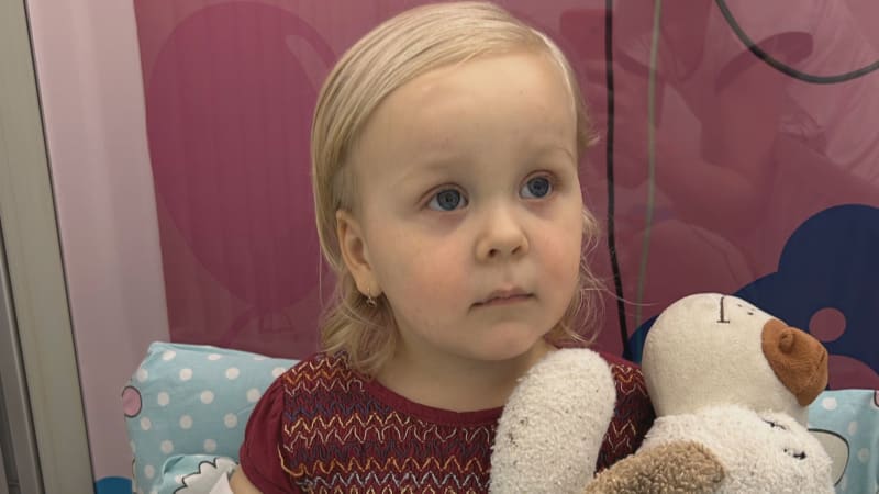 Dárcovská euforie v Česku: Příběh Madlenky lidi dojal. Registry hlásí rekordní počty