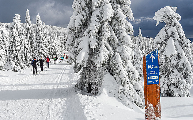 Na běžky v Česku i za hranicemi. Toto jsou nejlepší trasy i pro začátečníky