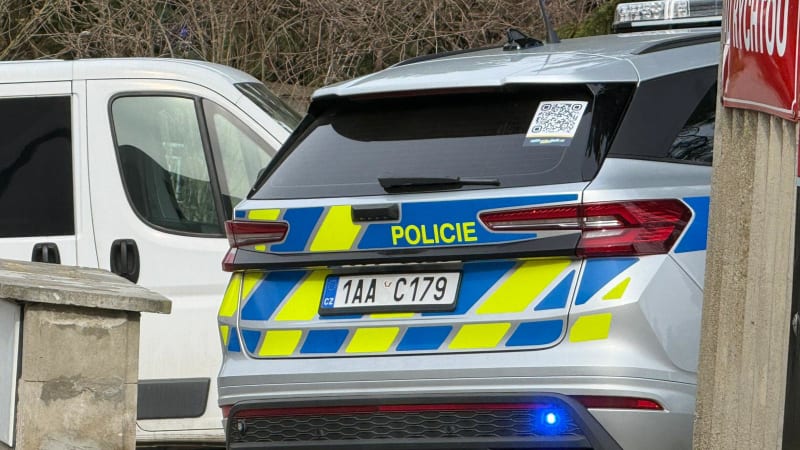 Brutální útok v Modřanské rokli: Muže mlátili a kopali, celý čin si mladíci natáčeli