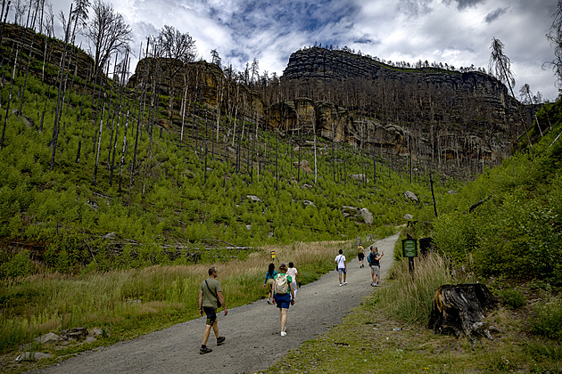 Nová trasa spojuje České a Saské Švýcarsko, vede z Hřenska do Schmilky