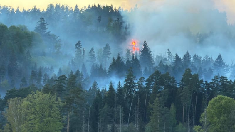 Požár v Českém Švýcarsku se stále nedaří zkrotit. Na místo míří posily z Prahy