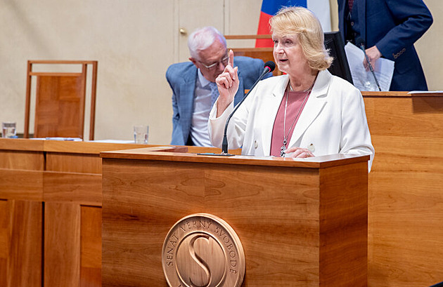 Nahrává developerům, umožňuje legalizovat černé stavby, vyčítají návrhu senátoři