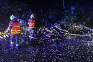 Hasiči měli kvůli bouřkám 715 zásahů, vyjížděli hlavně ke spadlým stromům