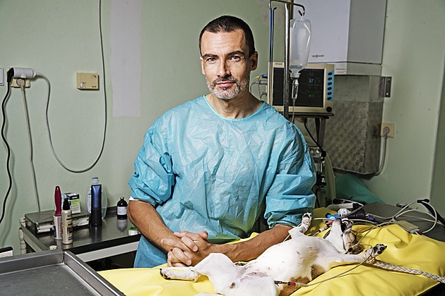 Zvířatům nejvíc škodíme polidšťováním, psům to ubližuje, vysvětluje veterinář